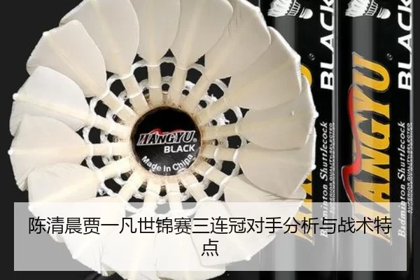 陈清晨贾一凡世锦赛三连冠对手分析与战术特点