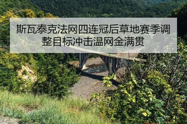 si-wa-tai-ke-fa-wang-si-lian-guan-hou-cao-di-sai-ji-tiao-zheng-mu-biao-chong-ji-wen-wang-jin-man-guan-2-352.jpg