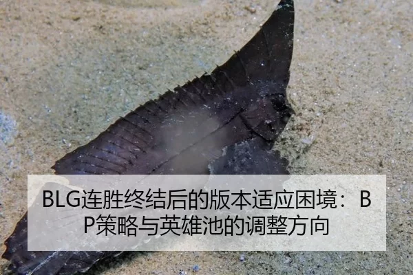 lian-sheng-zhong-jie-hou-de-ban-ben-shi-ying-kun-jing-ce-lve-yu-ying-xiong-chi-de-tiao-zheng-fang-xiang-2-936.jpg